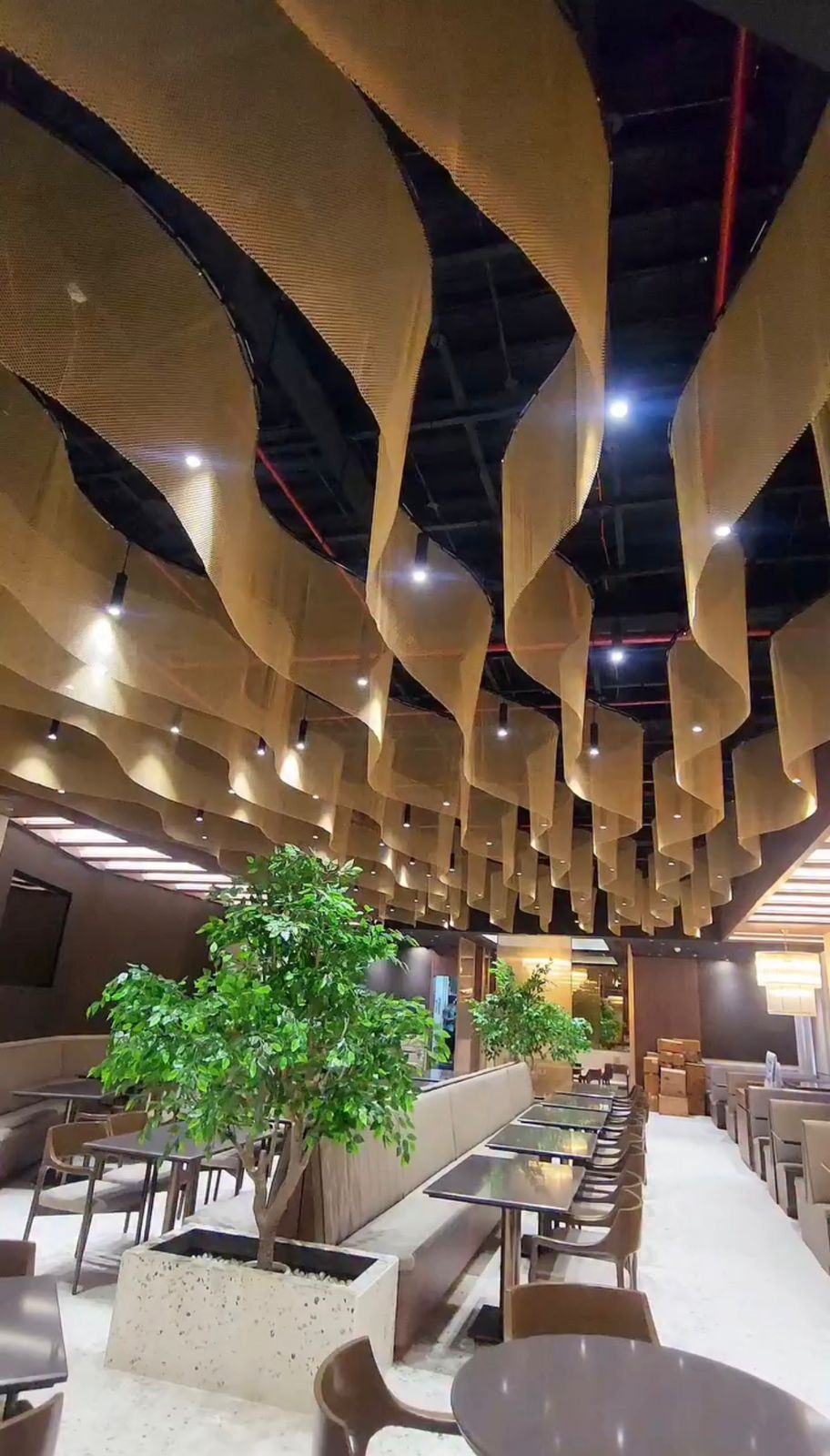 Elemento decorativo 4